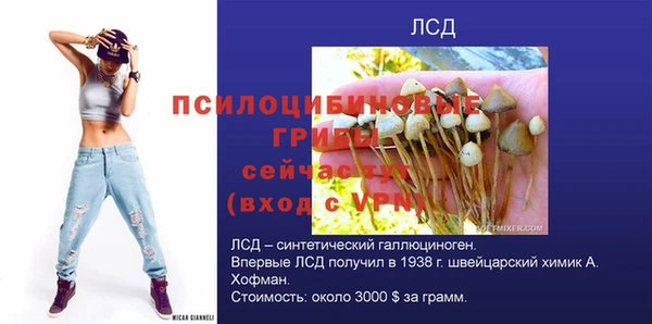 дмт Бронницы