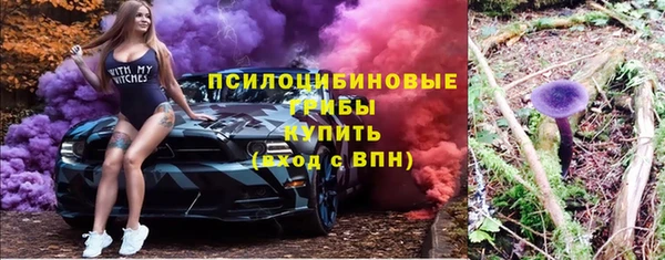 дмт Бронницы