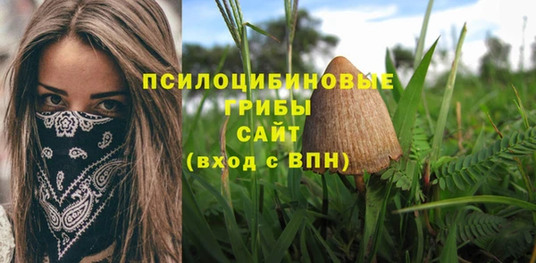 твердый Бугульма