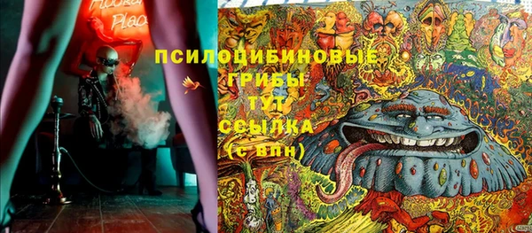 дмт Бронницы